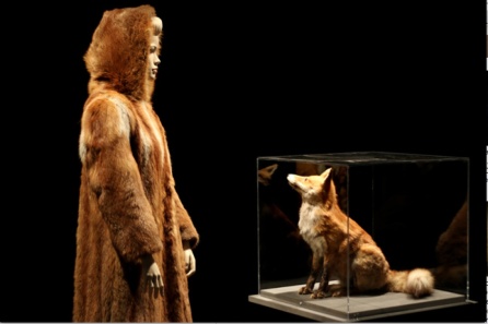 Fur exhibition